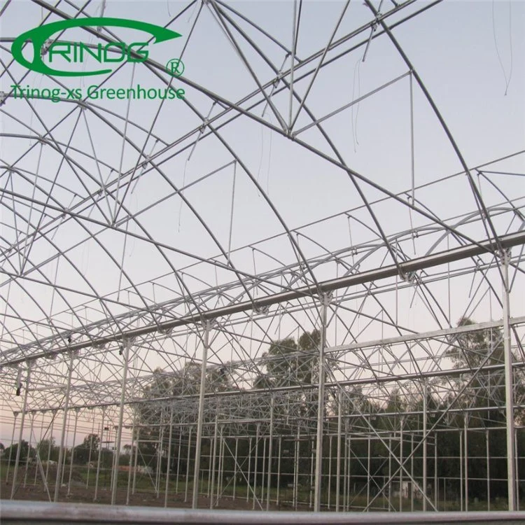 Commercial Large Plastic Film Green House for Plant Growth