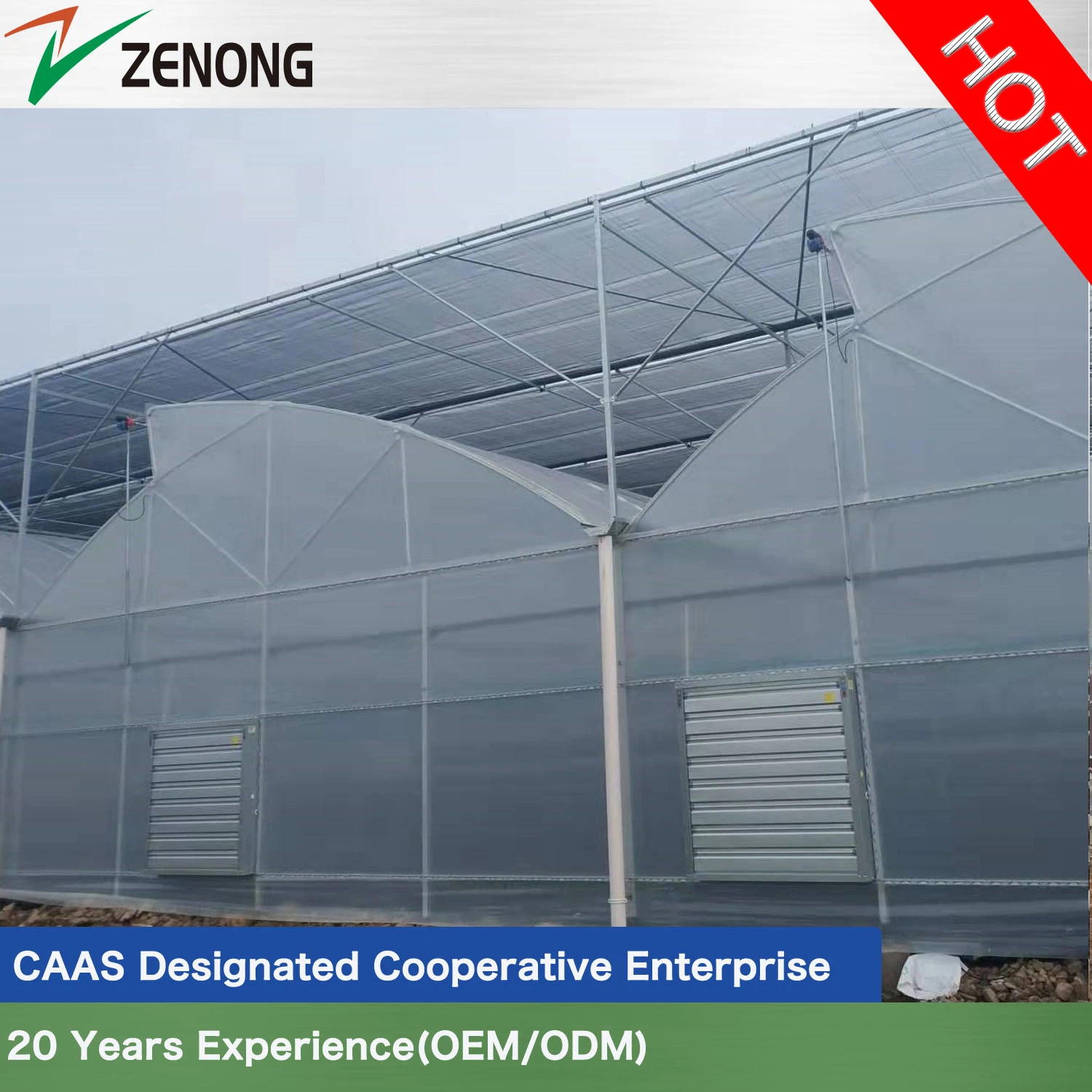 Fácil instalación tradicional China Film Greenhouse con alta calidad para Agricultura