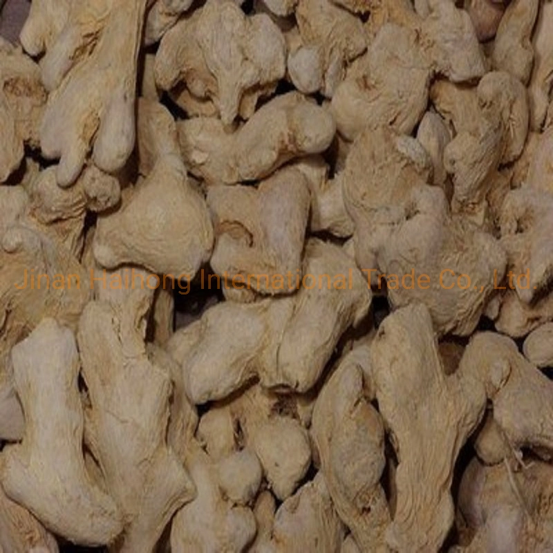 Most Favorable Dried Ginger and Dried Ginger Powder Price