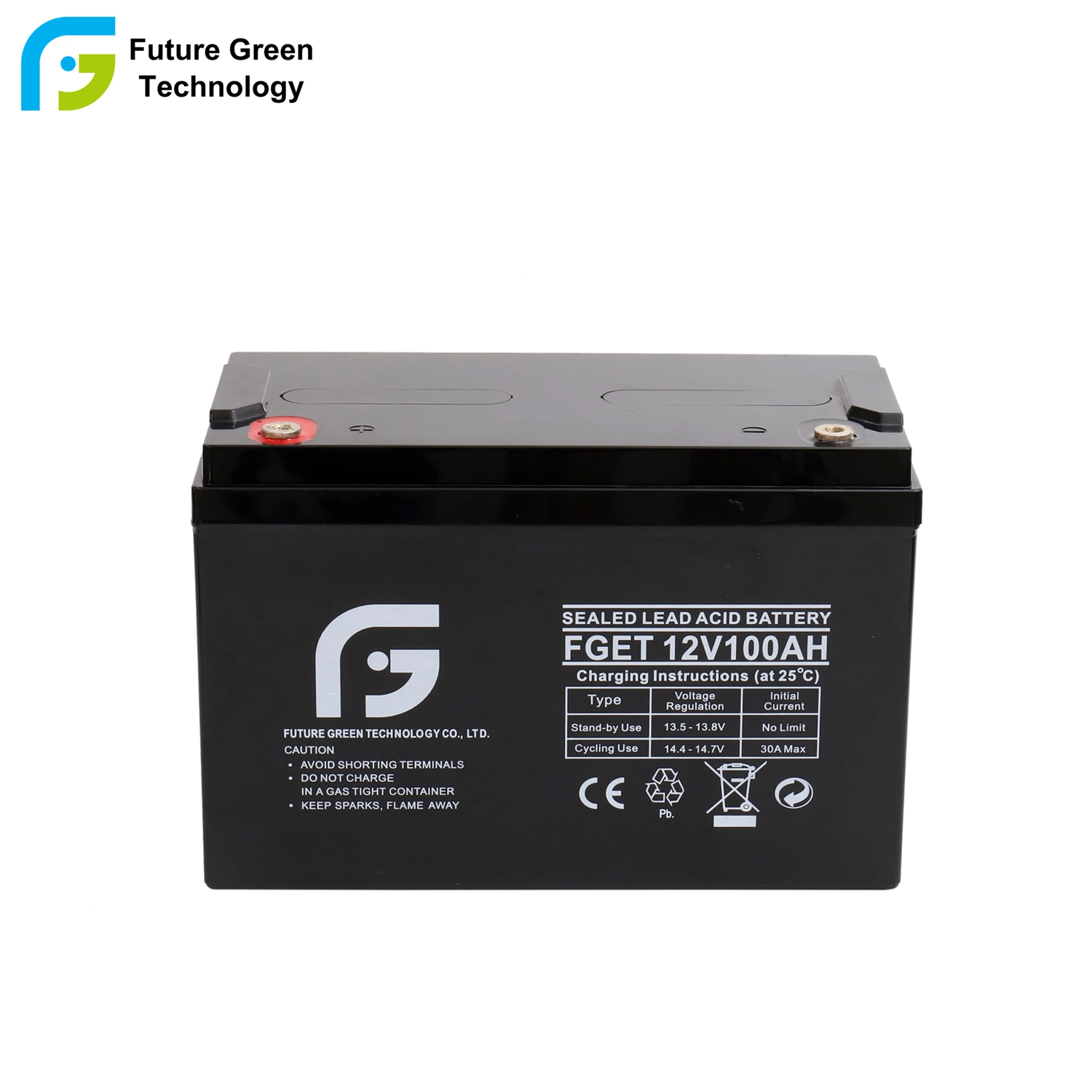 German Standard 12V 100 AMP-Hour UPS Lead Acid Battery