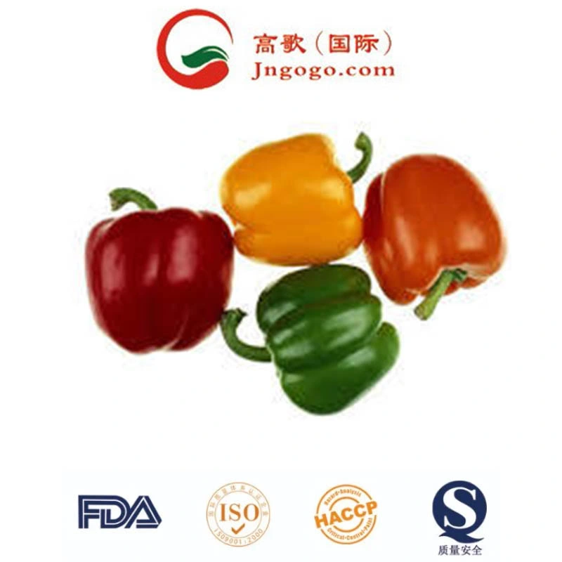 Top Quality of Frozen Vegetable and Frozen Diced Green Pepper