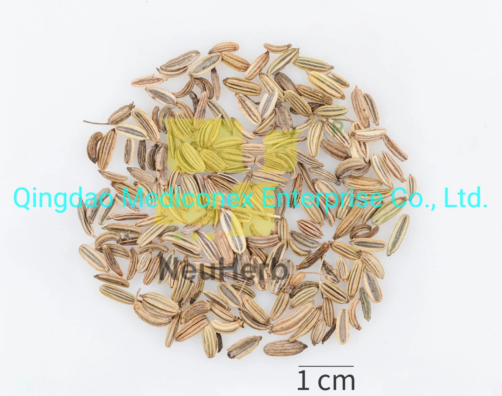 Fennel Fruit Herbal Plant Extract Prepared Traditional Chinese Herbal Medicine Warm Interior