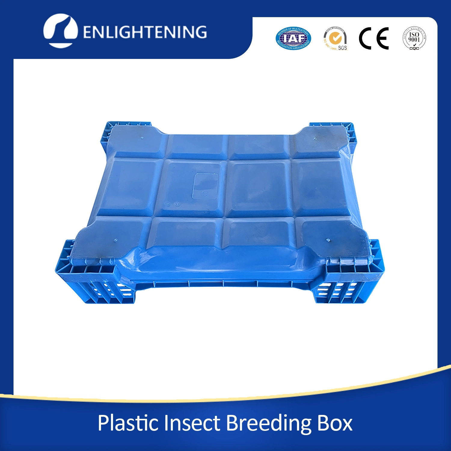 100% PP 60X40X14.5cm Plastic XL Bsf Insect Breeding Box Black Soldier Fly Larva and Mealworm Cultivation Maggot Redworms Barley Worms Silkworms Hornworm Waxworm