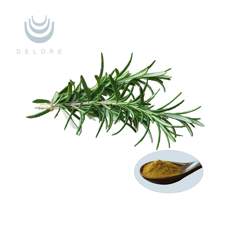 CAS No. 3650-09-7 Manufacturer Supply Rosemary Extract Carnosic Acid