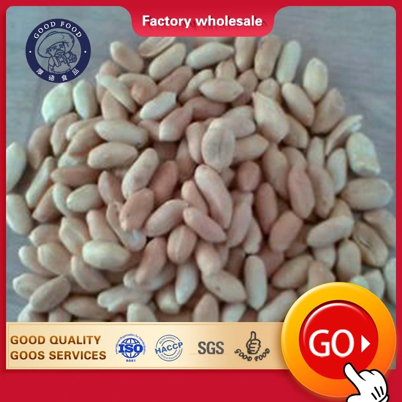 Chinese Factory 2020 Crop Blanched Kernel Peanut From China