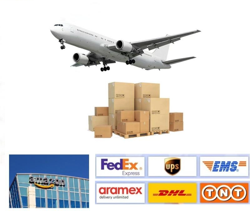 Cheap Sea Freight From Shenzhen China to Canada Japan International FCL /LCL Japan Shipping Agent Logistic