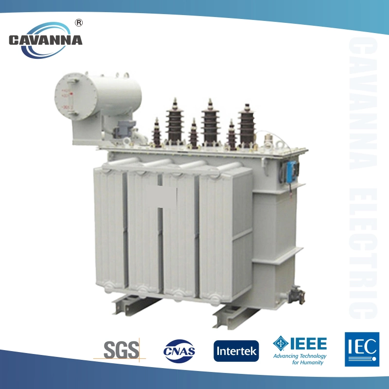 Efficient Power Transmission with S11 Oil-Filled Transformers (500kVA to 2000kVA)