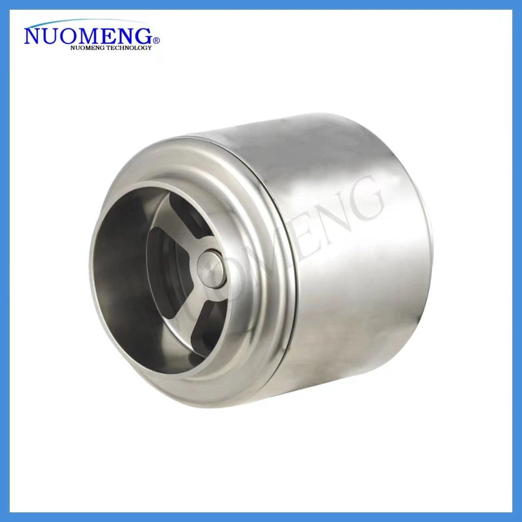 Sanitary Stainless Steel Welded Check Valve (RZ13-ISO-No. RZ4121)