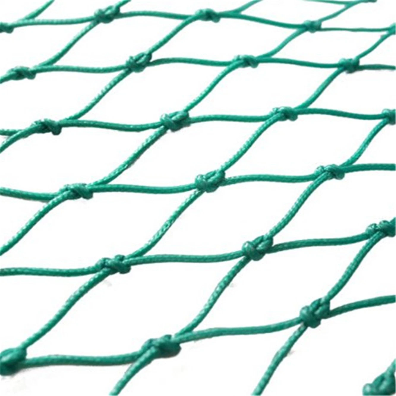 Garden Net Agricultural Vineyard Plastic Wire Mesh