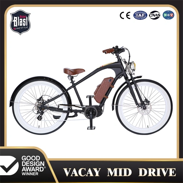 E-Bike Style côtier pour s'amuser, européen CE/FR Certificat15194 Ebike, 36 V batterie au lithium