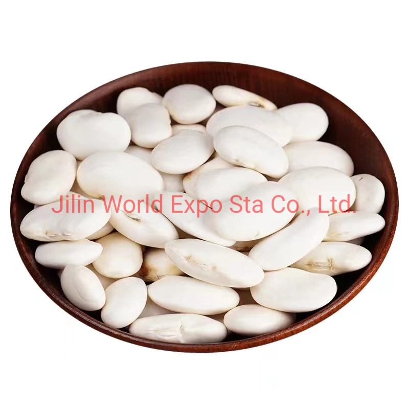 High quality/High cost performance Dried White Kidney Beans From Factory