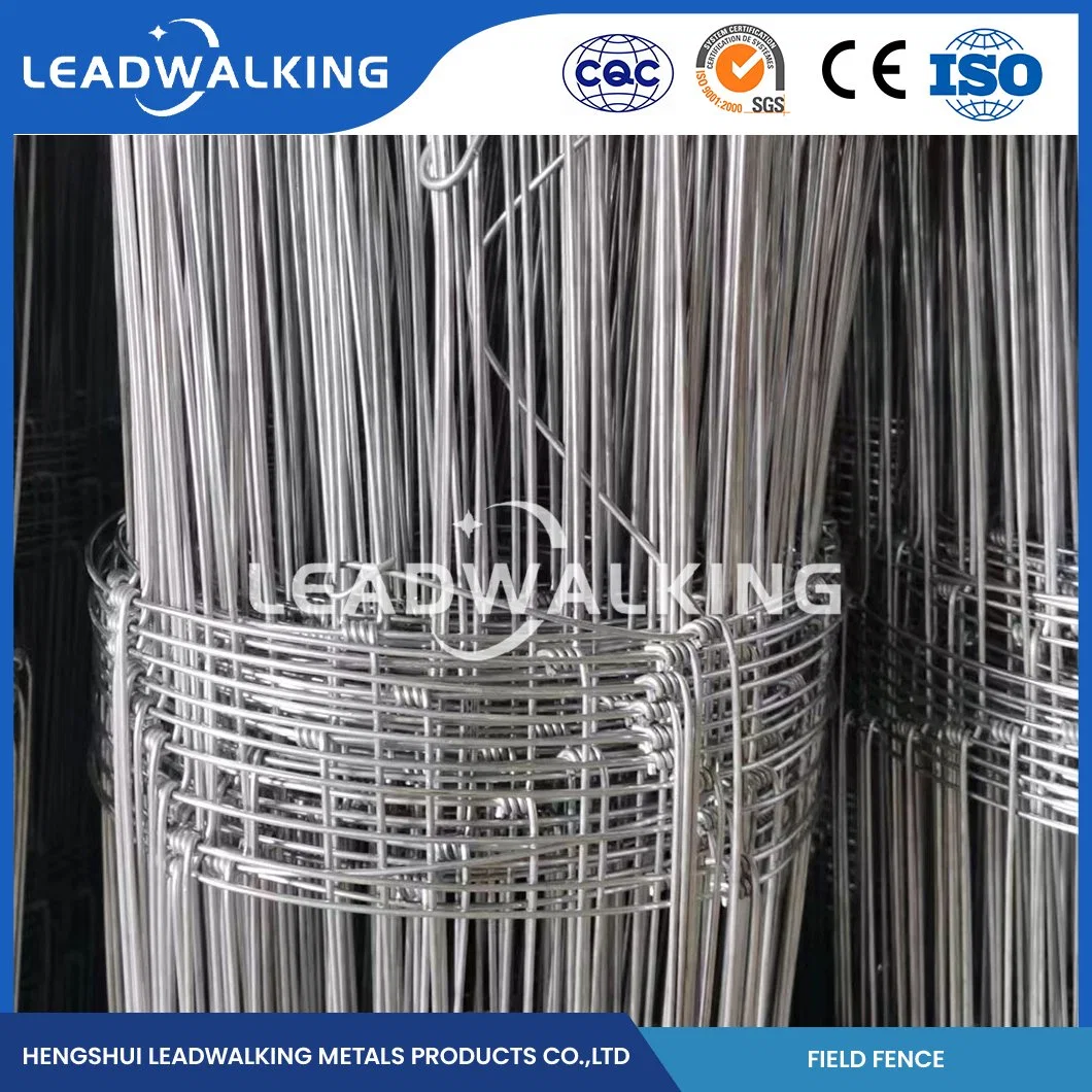 Leadwalking Green Field Fence Custom Farm Fence Wire Wholesale/Supplierr China 5cm cerco de la zona de la grassland de la junta con bisagras de la separación de la malezas