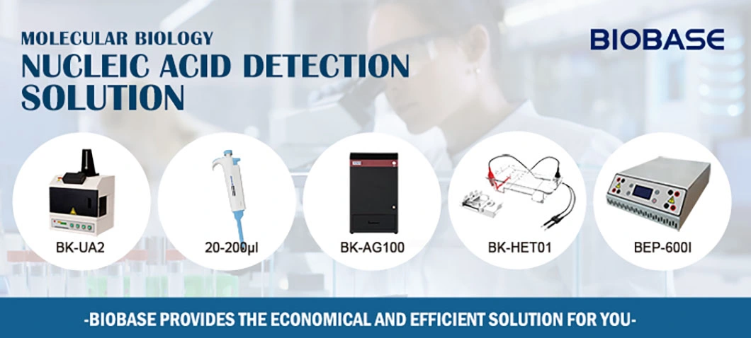 Biobase Electrophoresis System Gel Image Autofocus Lens Protein Analyze Electrophoresis Apparatus