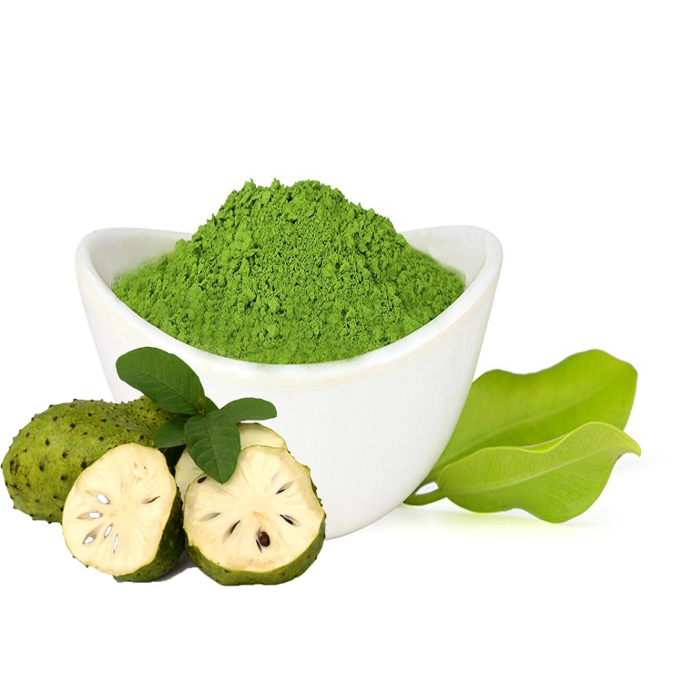 المبيعات الساخنة الشاي الشاي الشاي الشاي الساخن Matcha مسحوق الشاي الأخضر مسحوق Soursop Flavor Matcha Organic Leaf