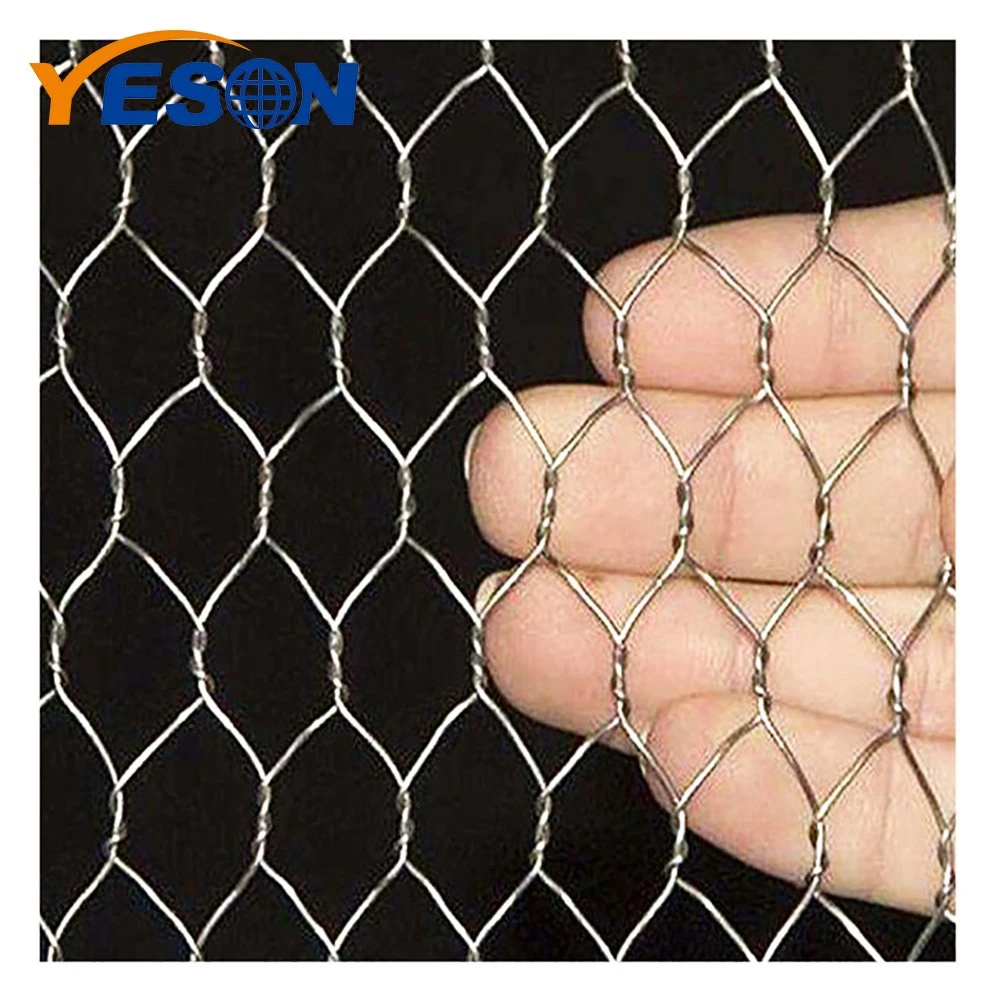 Clôtures de Volaille Poulet gros Anping Wire Mesh avec filet hexagonal galvanisé Clôtures de clôture pour le poulet Coop