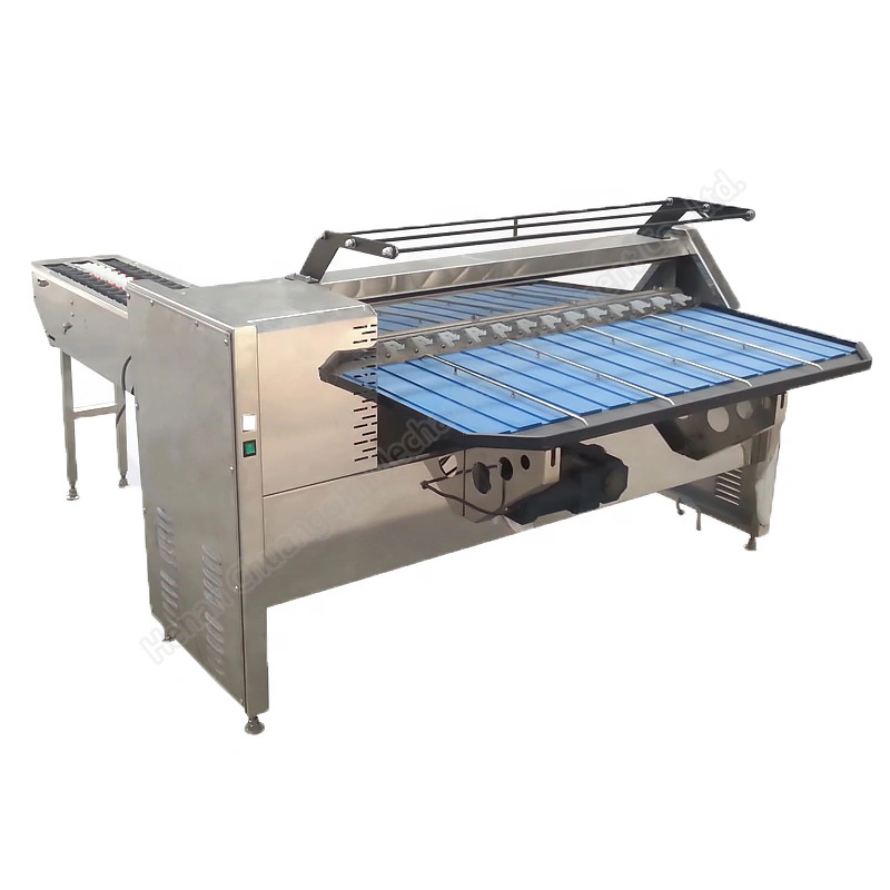 Egg Grading and Washing Machine Egg Sorter Machine Egg Grading Machine Egg Grader Machine Egg Sorting Machine Egg Size Grader Egg Weight Grading Machine