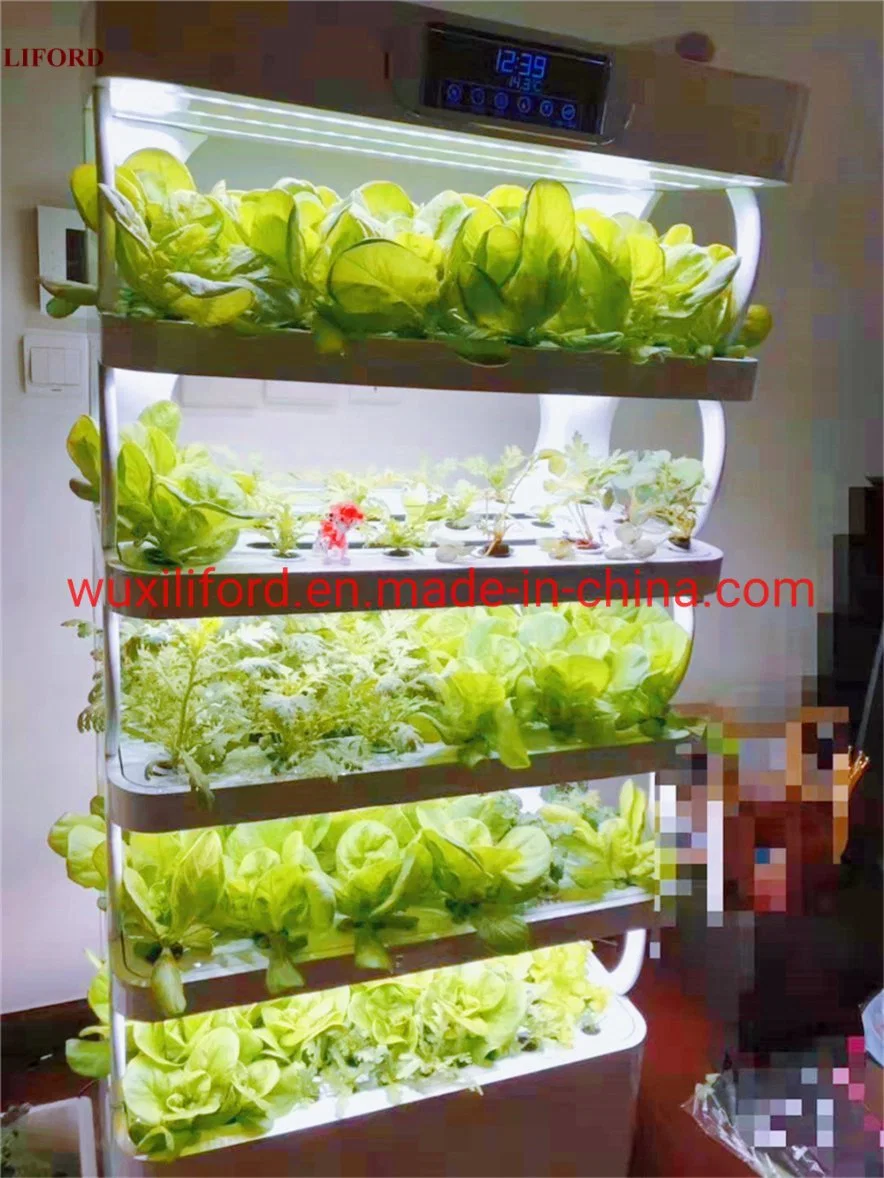 Indoor Nft Hydroponics Greenhouse, Soillies Culture Growing Machine