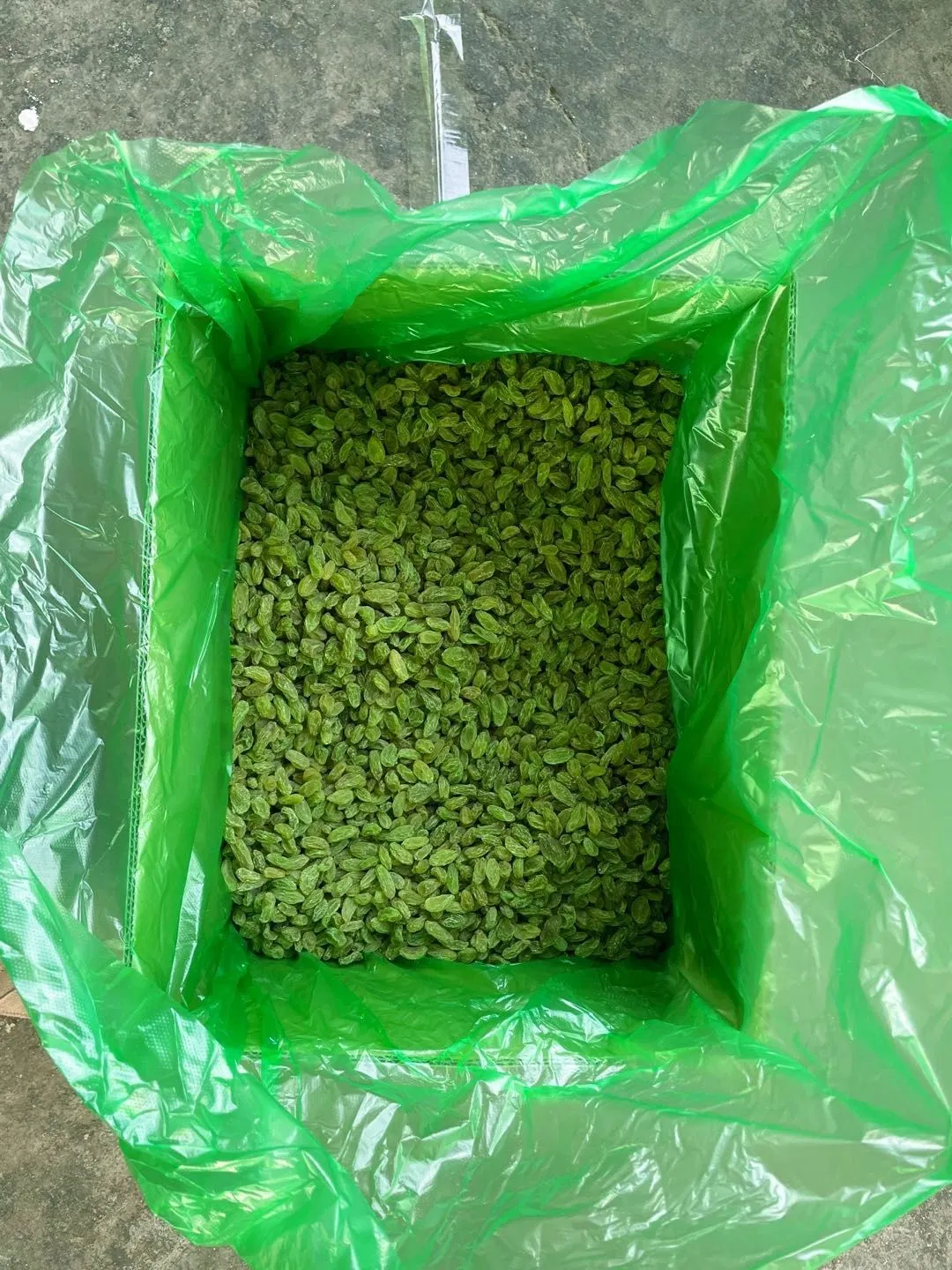 Raisins Green Color Big Size Quality Factory Directly Supply