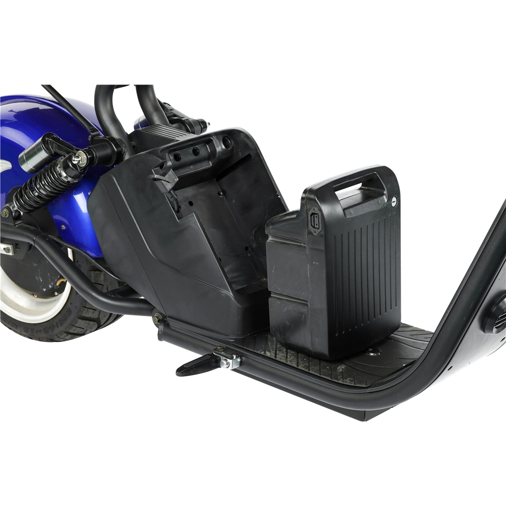 Electric Scooter with Removable Lithium Battery EEC Motorcycle