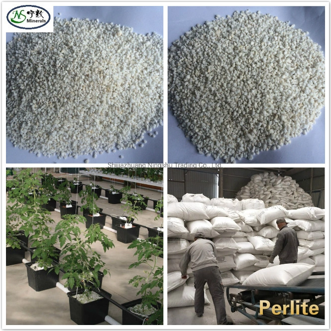 Soilless Matrix Soil Improver Agriculture Horticulture Expanded Perlite