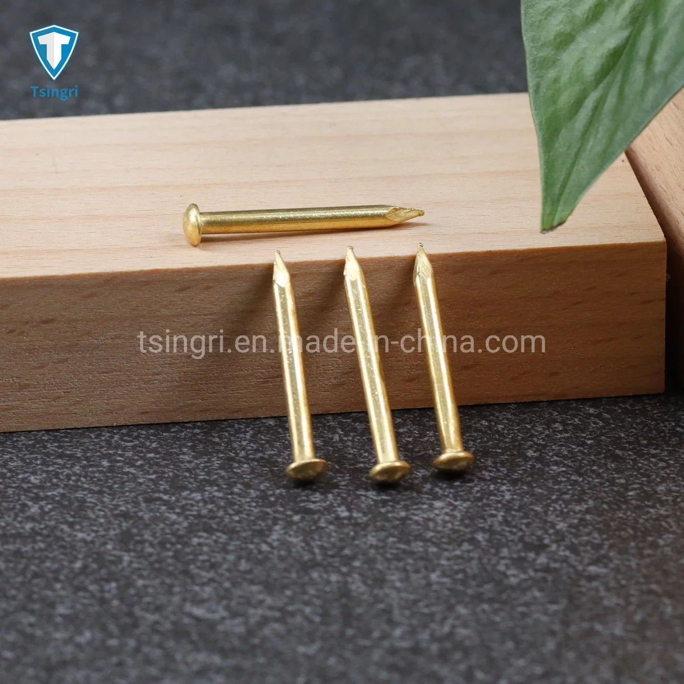 Clavos de cabeza redonda común de cobre de latón puro pequeño TGR/Tsingri para Muebles de madera decorativos personalizados