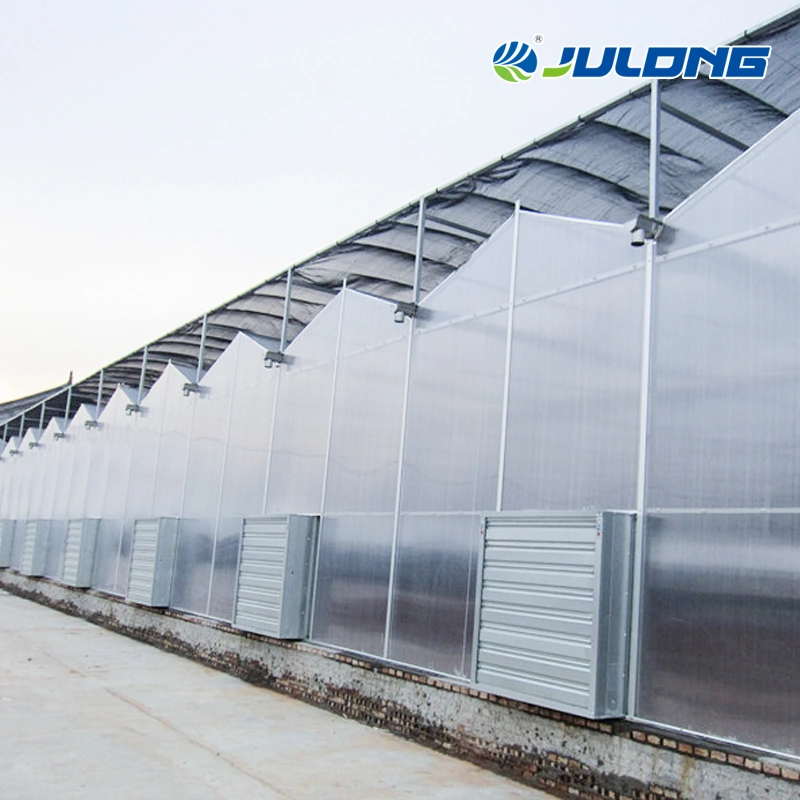 China Agriculture Polycatbonate Greenhouse for Vegetables