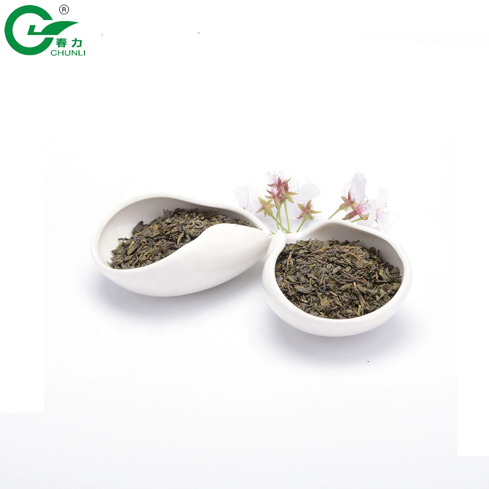 China té Verde Flecha polvo de calidad 9575 para Marruecos