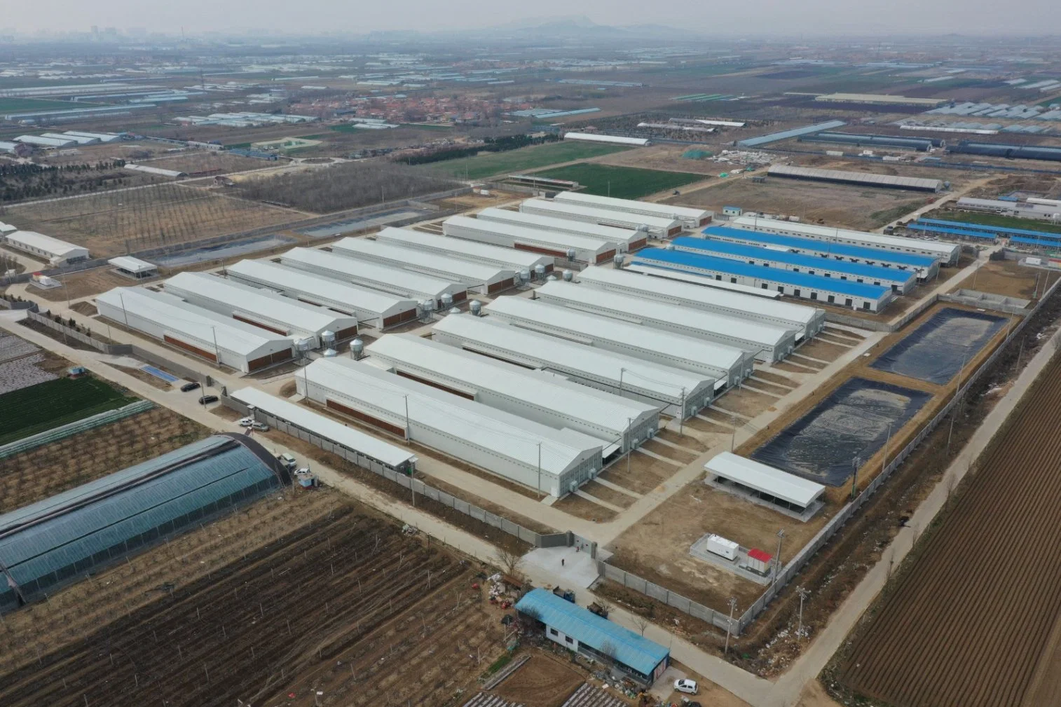 Steel Structure Prefabricated Warehouse Q345b/Q235B