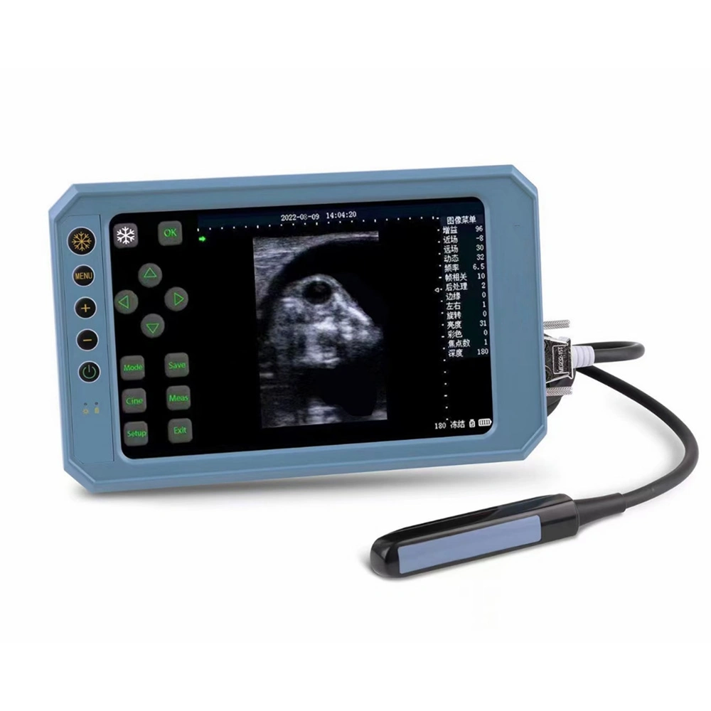Icen portable Vet portable Digital 7 pouces échographe vétérinaire Échographie