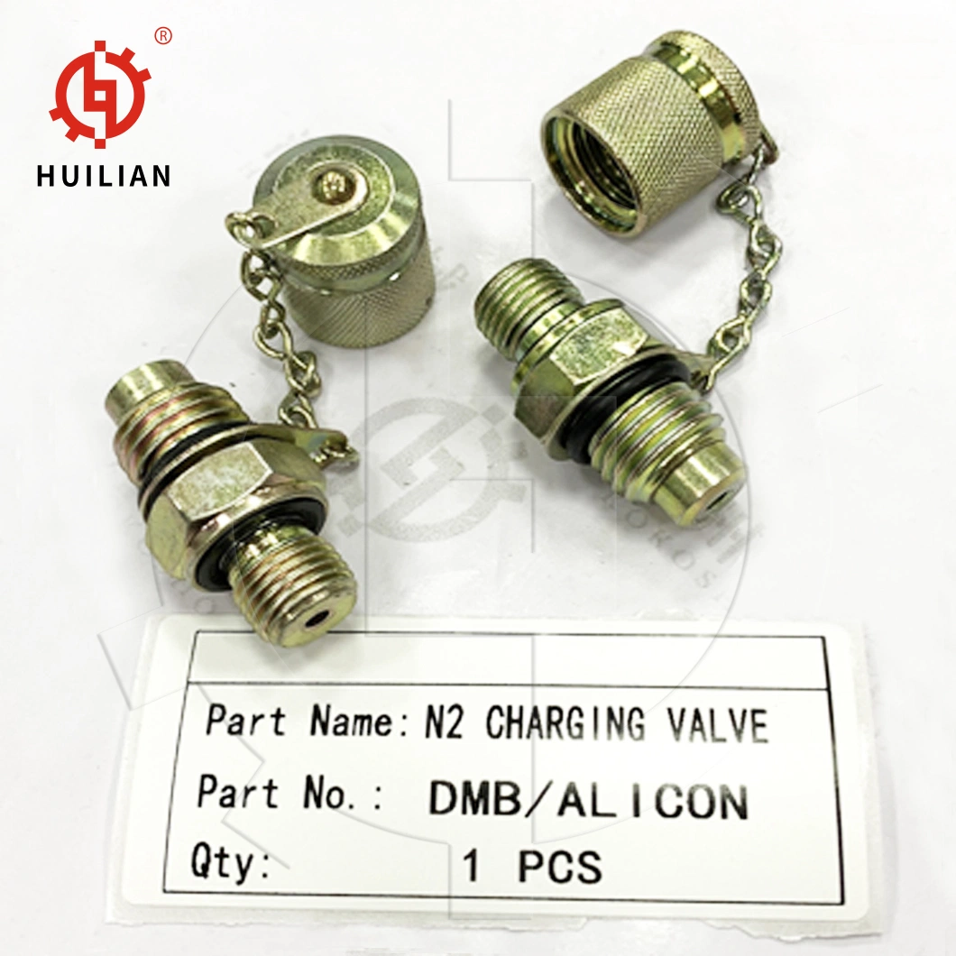 Hydraulic Rock Breaker Hammer Nitrogen Charging Valve for DMB Breaker N2 Gas Charger Valve