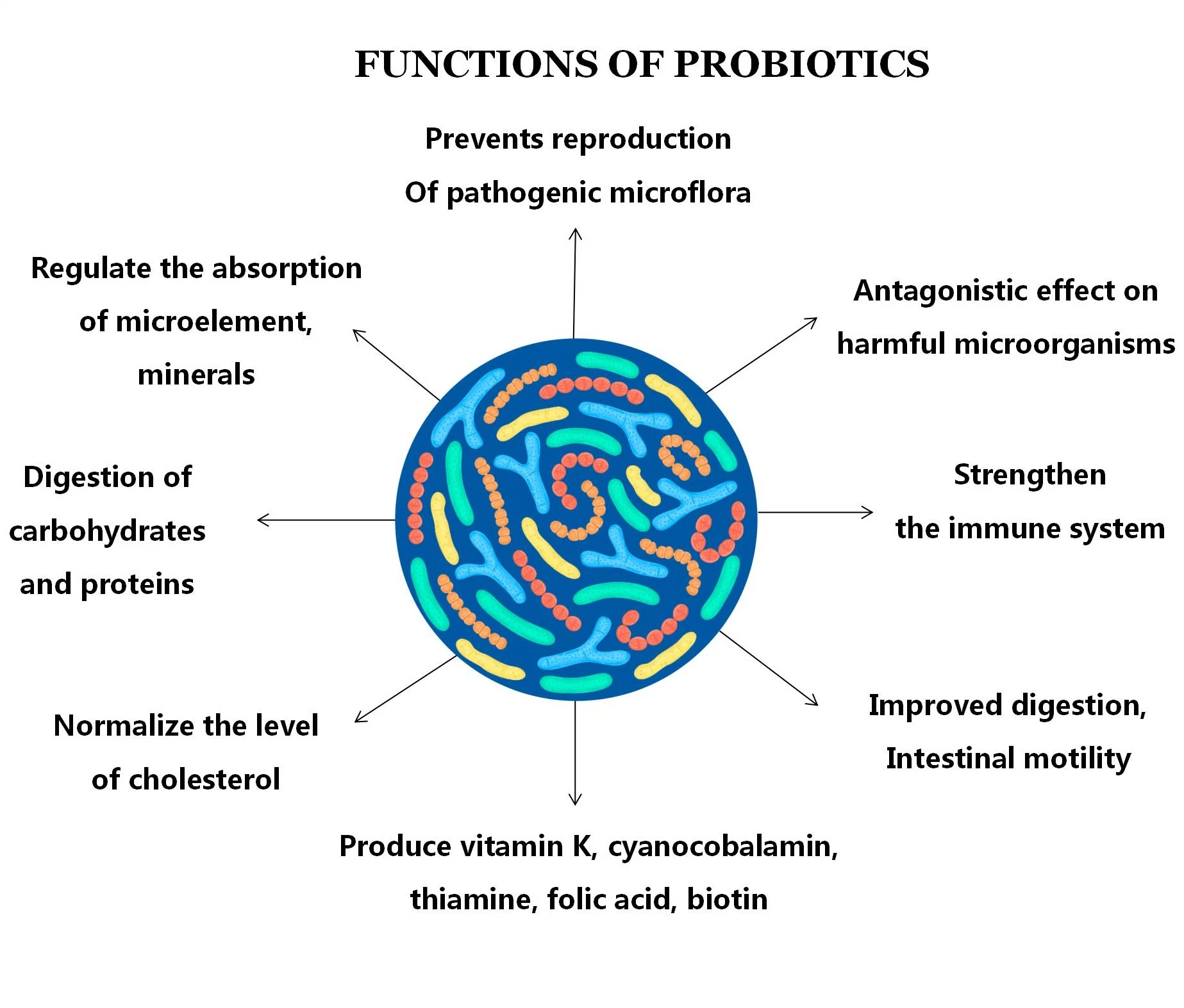 La reducción de grasa de alimentos de la salud construir Lactobacillus rhamnosus Monoprobiotic Slim