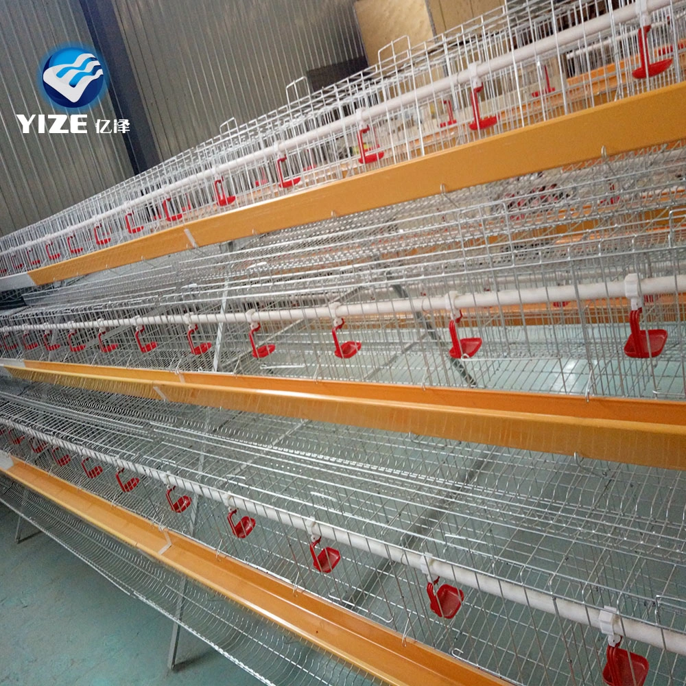 Automatic Hot Dipped Galvanized Poultry Farm Equipment Chicken Cage