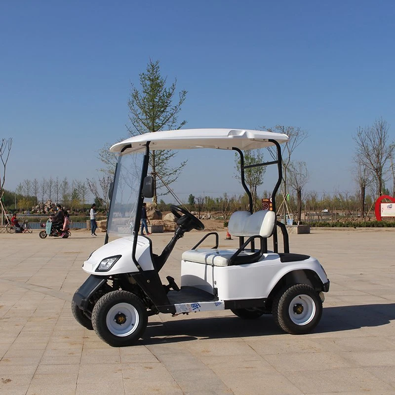 Factory Cheap Price 2 Seats 2 4 6 Seater Electric Golf Sightseeing Car