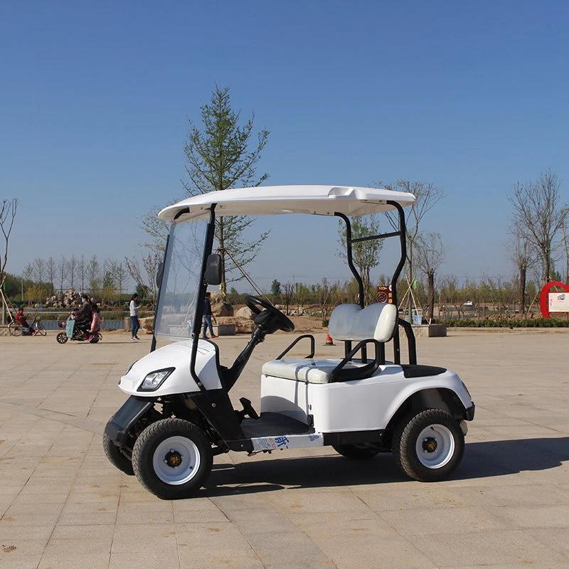 Fabrik Günstige Preis 2 Sitze 2 4 6 Sitzer Electric Golf Sightseeing Auto