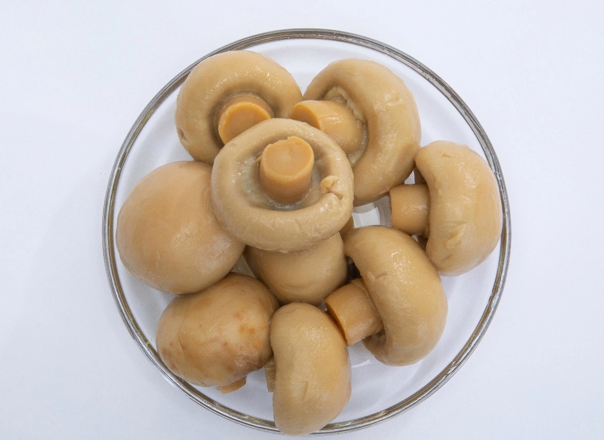 Hot Sale Canned Mushroom Whole 185g*24/CTN