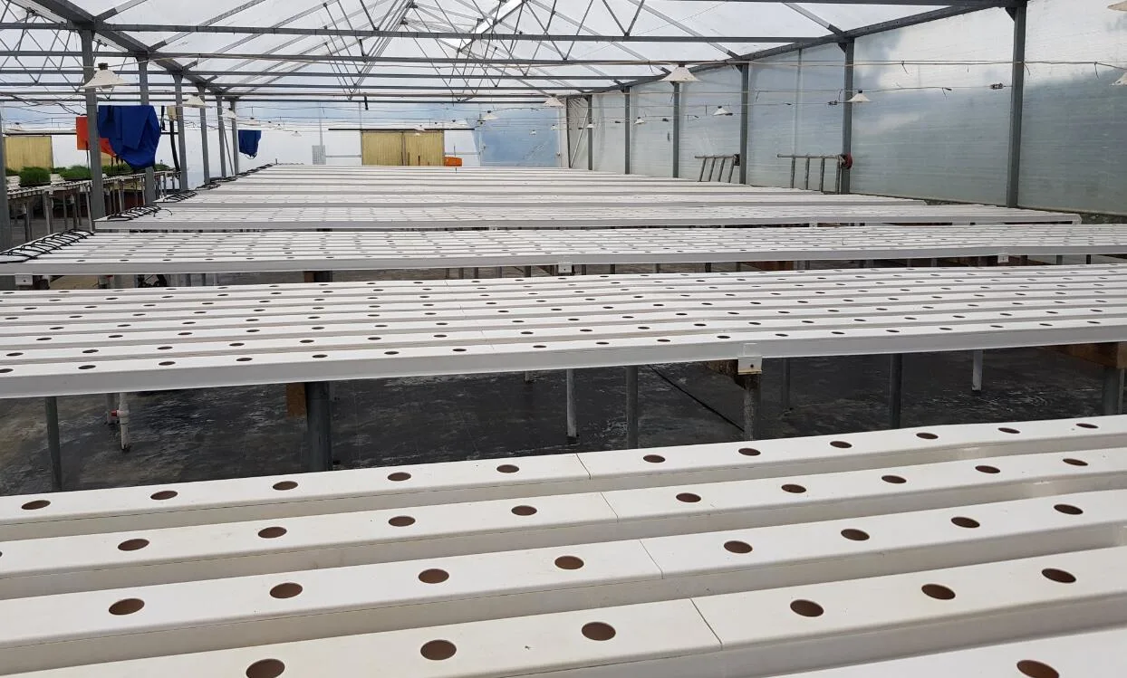 Commercial Farm Vertical Hydroponics System Plastic Growing Rack Food Grade 100X50mm Nft Gully