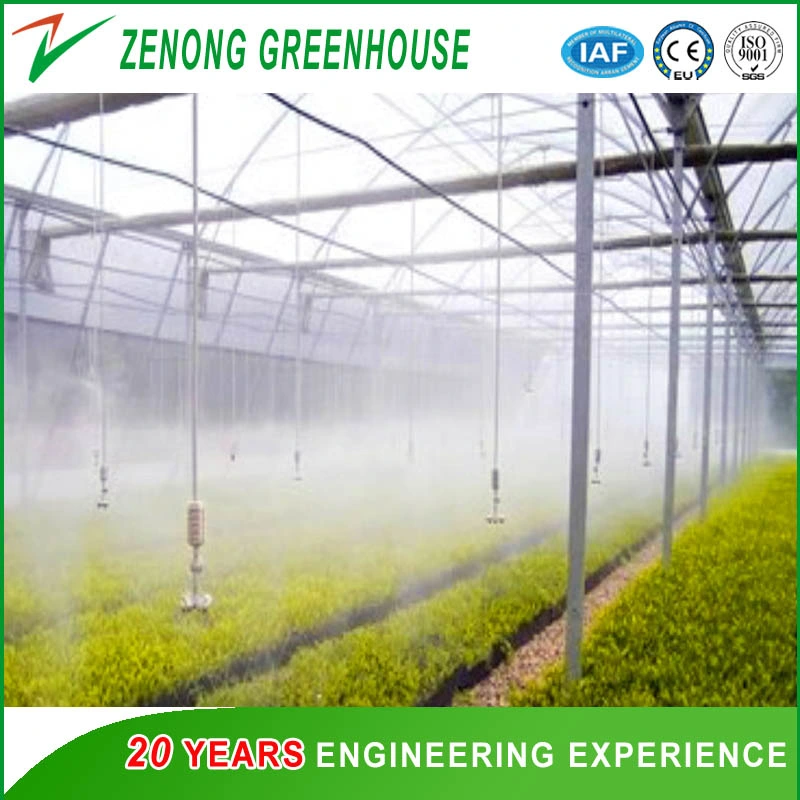 Factory Price Steel Structure Film Greenhouse Materials/Equipment/Cooling Pad/Fan/Irrigation etc.