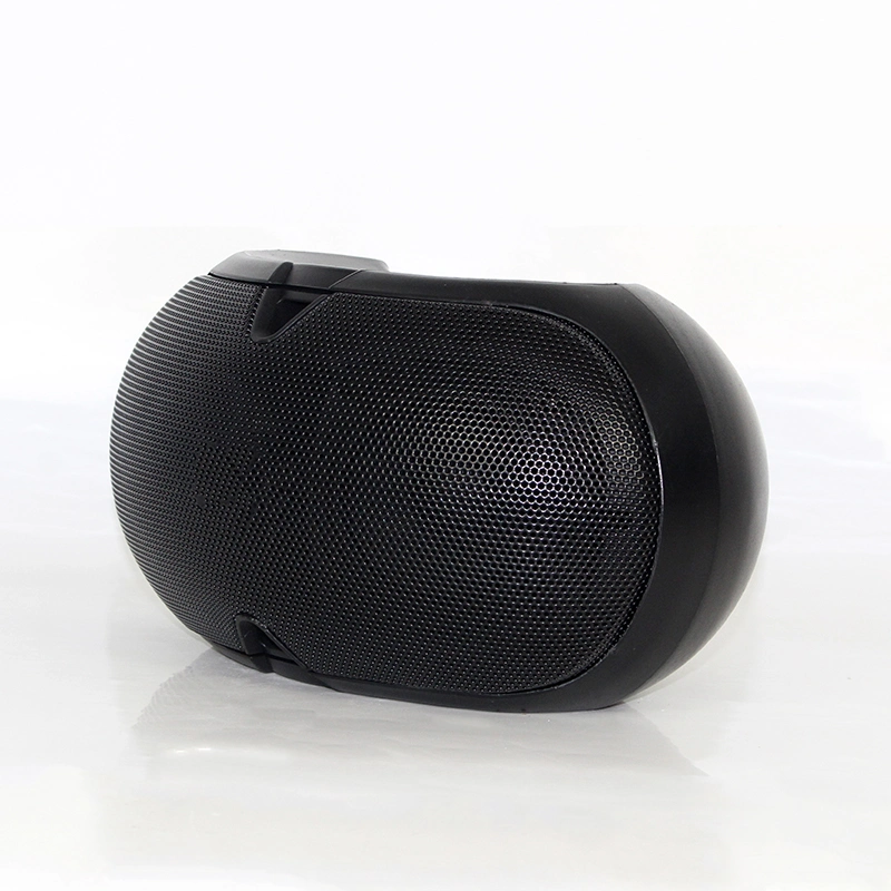 Sample Provided Passive Conference Speaker with 65Hz-20kHz Frequency Response