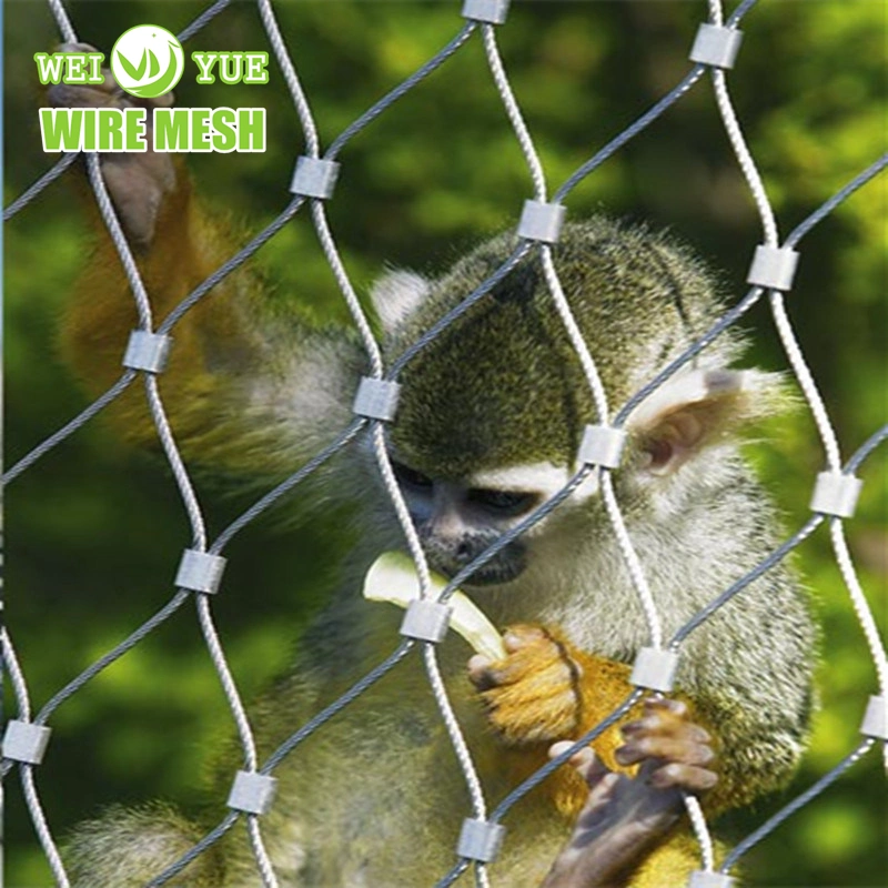 Anti - Rust Ss 316 Wire Rope Netting for Protection Use in Garden Fence Safety Fence Zoo Wire Rope Mesh Green Wall Mesh