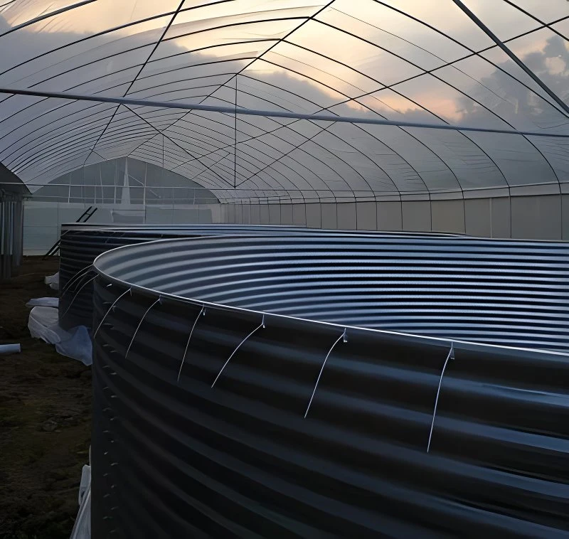 Réservoirs d'aquaculture pour l'élevage de poissons tilapia en intérieur et en extérieur