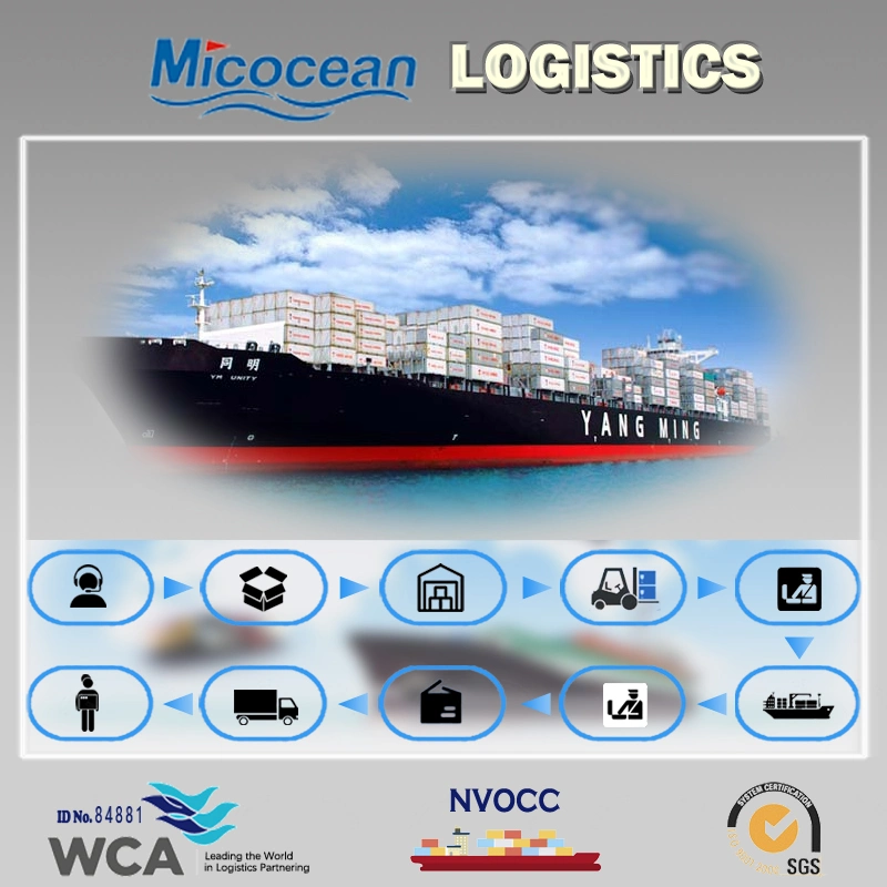 Professional Sea Shipping FCL Service, From China to Vancouver