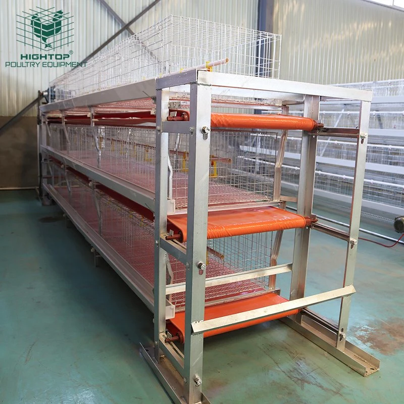 Fournisseur chinois d'équipements pour fermes avicoles, cage à poulets de batterie pour l'élevage de poulets à vendre.