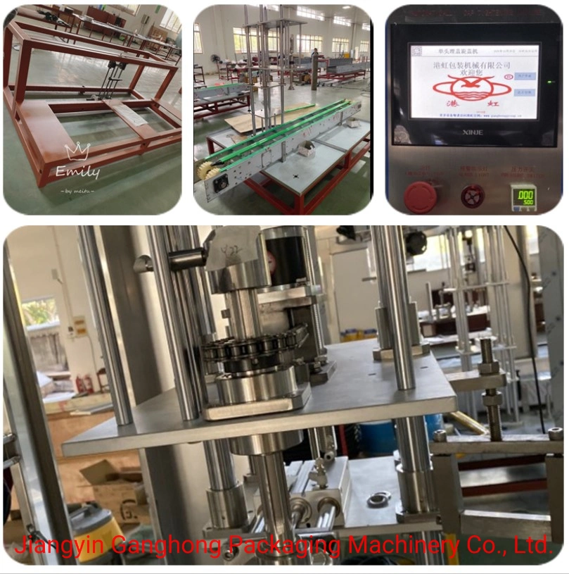 (Soy Souce, Vinegar, edible oils) Vacuum Self-Flow Filling Machine (S-ZZG)