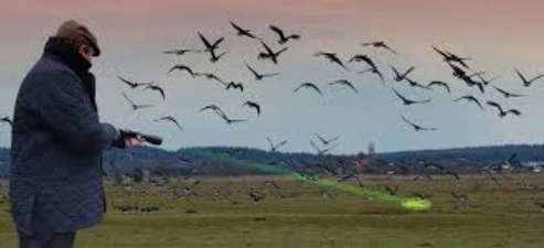 Luz laser de controlo de aves com alta qualidade