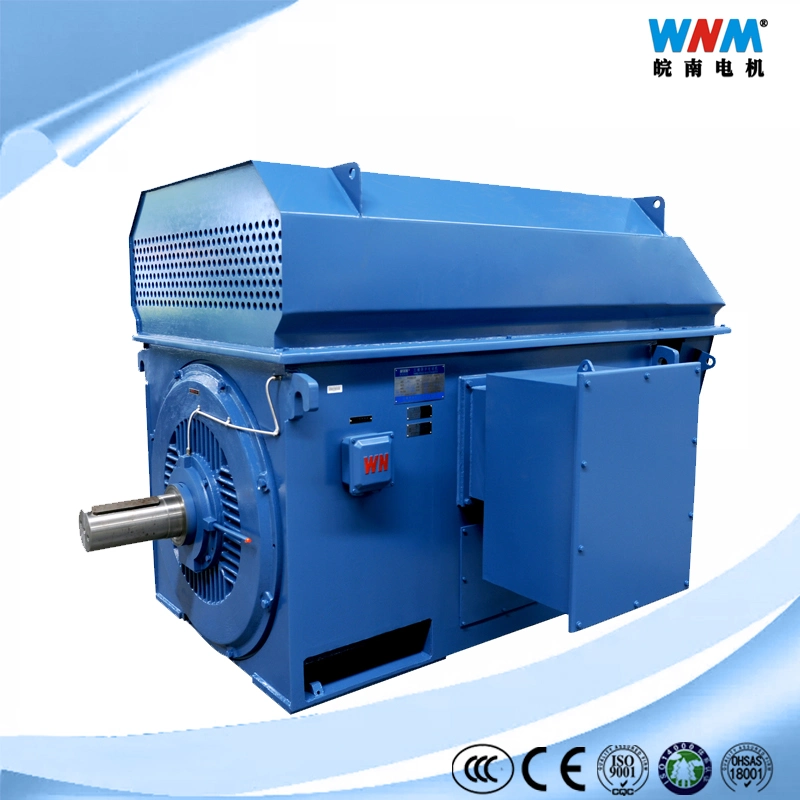 High-Voltage AC Motor 1000 Kw 10 Kv 4p Engine for The Machine on The Metal