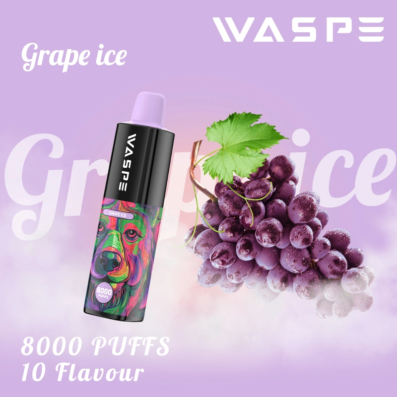 Waspe 8000 Disposable Vape Pen 8000puffs 16ml Pre-Filled Ejuice 650mAh Type C Rechargeable