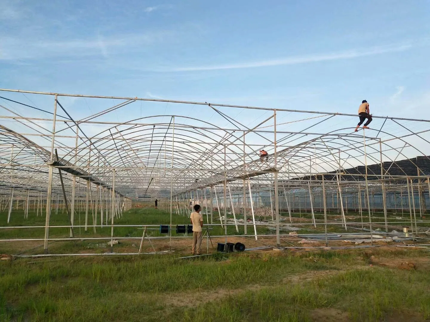 Landwirtschaftliche Gewächshäuser Mehrspan Gewächshäuser für Microgreens Growing System