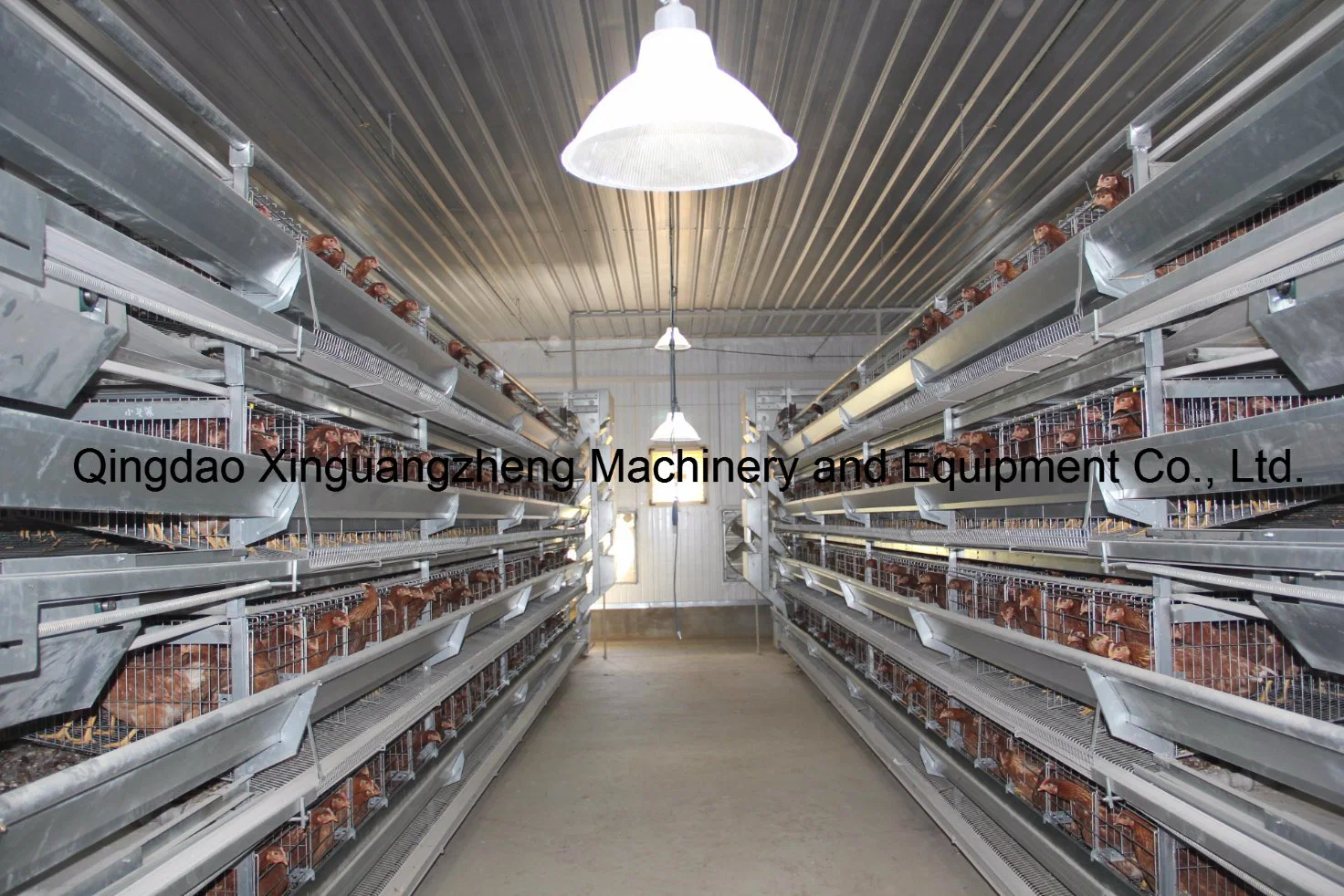 Low Cost H Type Layer Chicken Cage Equipment with Factory Price