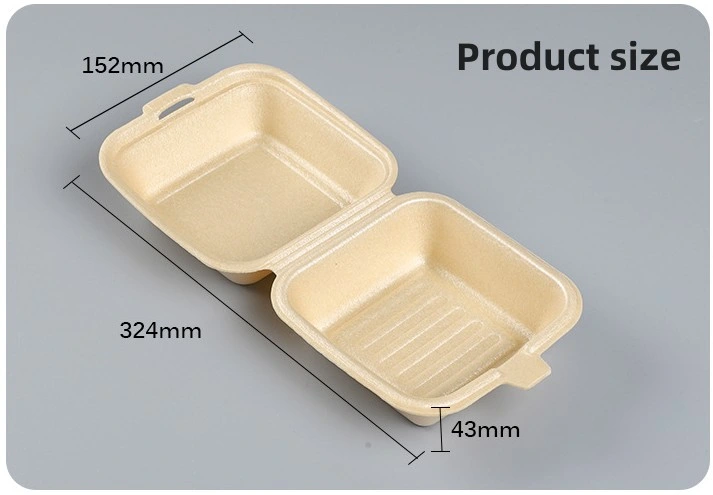 Amazon Hot Sale Food Container for Hamburg Salad