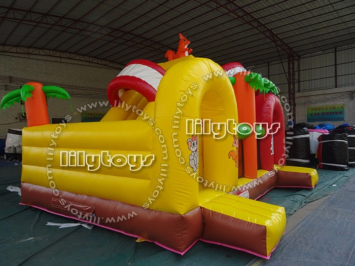 Inflatable Bouncer Combo with Two Arch Cartoon Theme